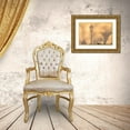 thumbnail image 3 of Miglavs, Janis 32x23 Gold Ornate Wood Framed with Double Matting Museum Art Print Titled - Early morning shadow of a man and lamppost and plant on house wall in Trinidad-Cuba, 3 of 4