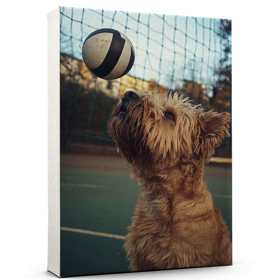 Soft Coated Wheaten Terrier Dog Playing Volleyball Stretched Canvas Size 8x12 – Sports Dog, Perfect for Animal Lovers, Soft Coated Wheaten Terrier Dog Canvas, Volleyball Canvas Size Wall Art