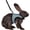 Blue, variant on GYTY   Rabbit Harness and Leash Set - Adjustable Escape-Proof Training and Walking Gear for Guinea Pigs Bunnies Chinchillas Hamsters Ferrets Rats Kittens and Small Dogs Puppies Cats (Black,L)