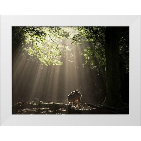 Matsui, Yoshinori 18x15 White Modern Wood Framed Museum Art Print Titled - Light Curtain