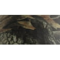 thumbnail image 2 of Duck Tape. Real Tree Hardwood Camouflage. 1.88 x 10 yards, 2 of 2