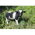 thumbnail image 1 of Farm Animal Statue Standing Cow Garden Statue,Garden Decoration, Home Decor, Indoor/Outdoor, 1 of 5