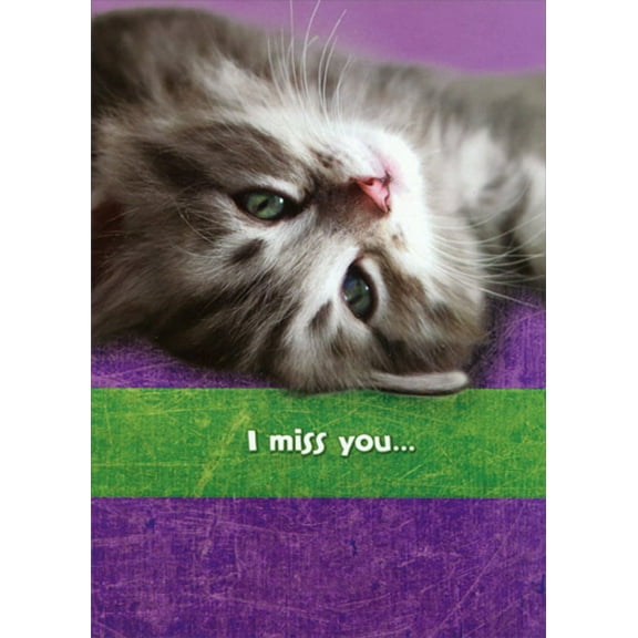 Designer Greetings Upside Down Gray Kitten Face Funny : Humorous Miss You Card