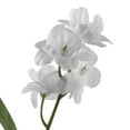 thumbnail image 3 of 16 Pack: White Double Baby's Breath Stem by Ashland, 3 of 3