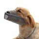thumbnail image 1 of Bozal para perros Malla transpirable para perros pequeños, medianos y grandes Evita que mue Eccomum Gris,Grande, 1 of 7