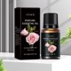 thumbnail image 4 of Hot6sl Ofertas y Liquidaciones Acetato de Masaje para Cuerpo, Aceite de Masaje de Rosas, Hombros, Cuello, Espalda, Espalda Abierta, Aceite de Masaje para Salón de Belleza y Spa, 10 Ml, 4 of 7