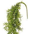 thumbnail image 3 of Vickerman 34" Artificial Green Lemon Beauty Leaf Vine., 3 of 7