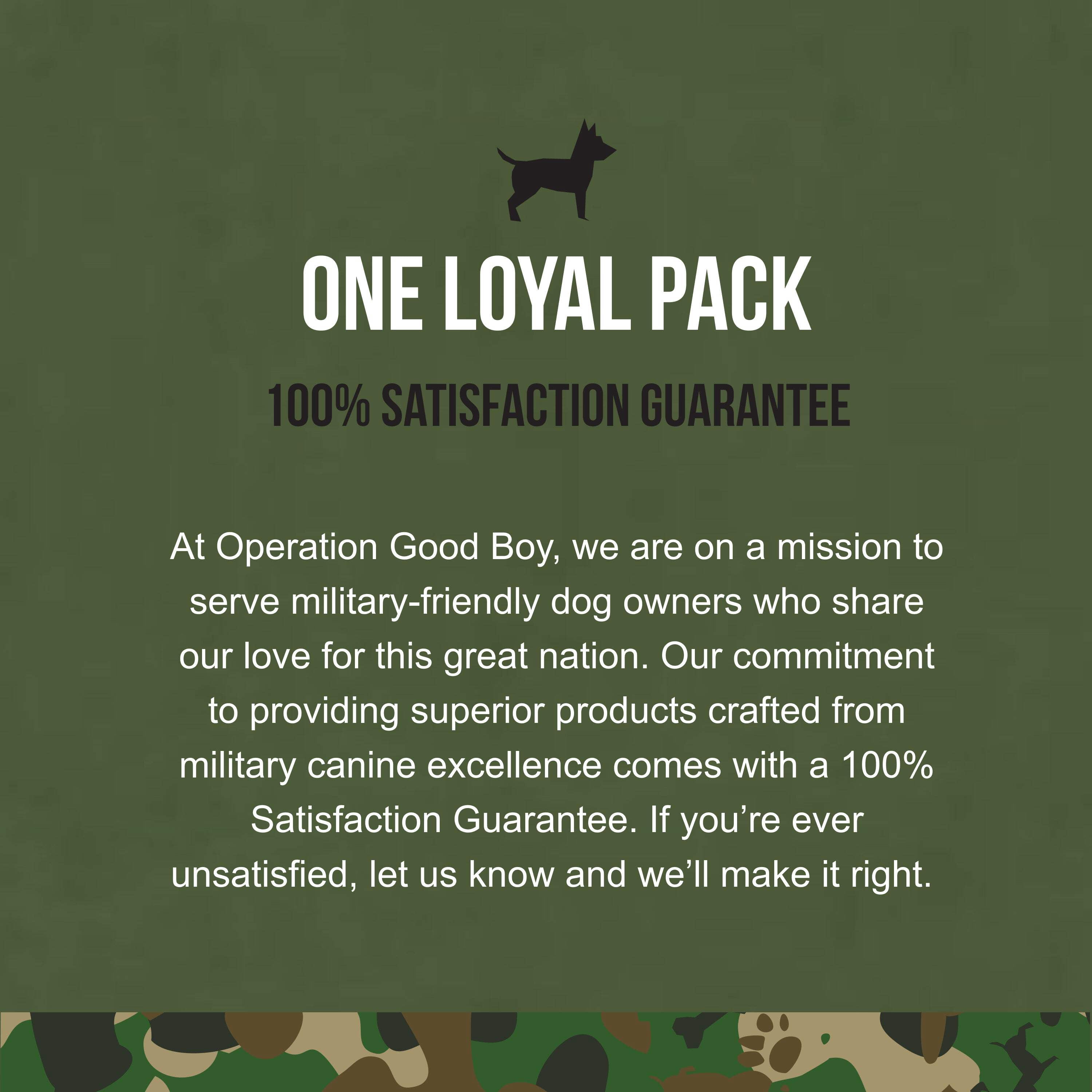 Operation Good Boy SRE: Supplement for Seasonal Allergy & Skin Health for Dogs, Peanut Butter Flavor, Ready to Eat, 90 Soft Chews