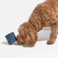 thumbnail image 3 of Dog Tennis , Interactive Dog Chew Toy, Tennis Educatal Toy, 3 of 4