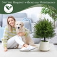 thumbnail image 6 of Bxaolu 15.8" Artificial Topiary Trees with Ground Spike, Set of 2 Norfolk Pine Topiary, UV Resistant Shrubs Plants Fake Cedar Tree Bushes for Outdoor Front Porch Garden Décor, 6 of 9
