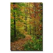 Trademark Fine Art "Fall Trail" Canvas Art by Kurt Shaffer