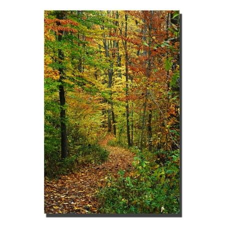 Trademark Fine Art "Fall Trail" Canvas Art by Kurt Shaffer