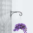 thumbnail image 1 of Phenofice 1Ud Gancho Colgante De Pared Para Plantas Con Duradero De Hierro Negro, 1 of 8
