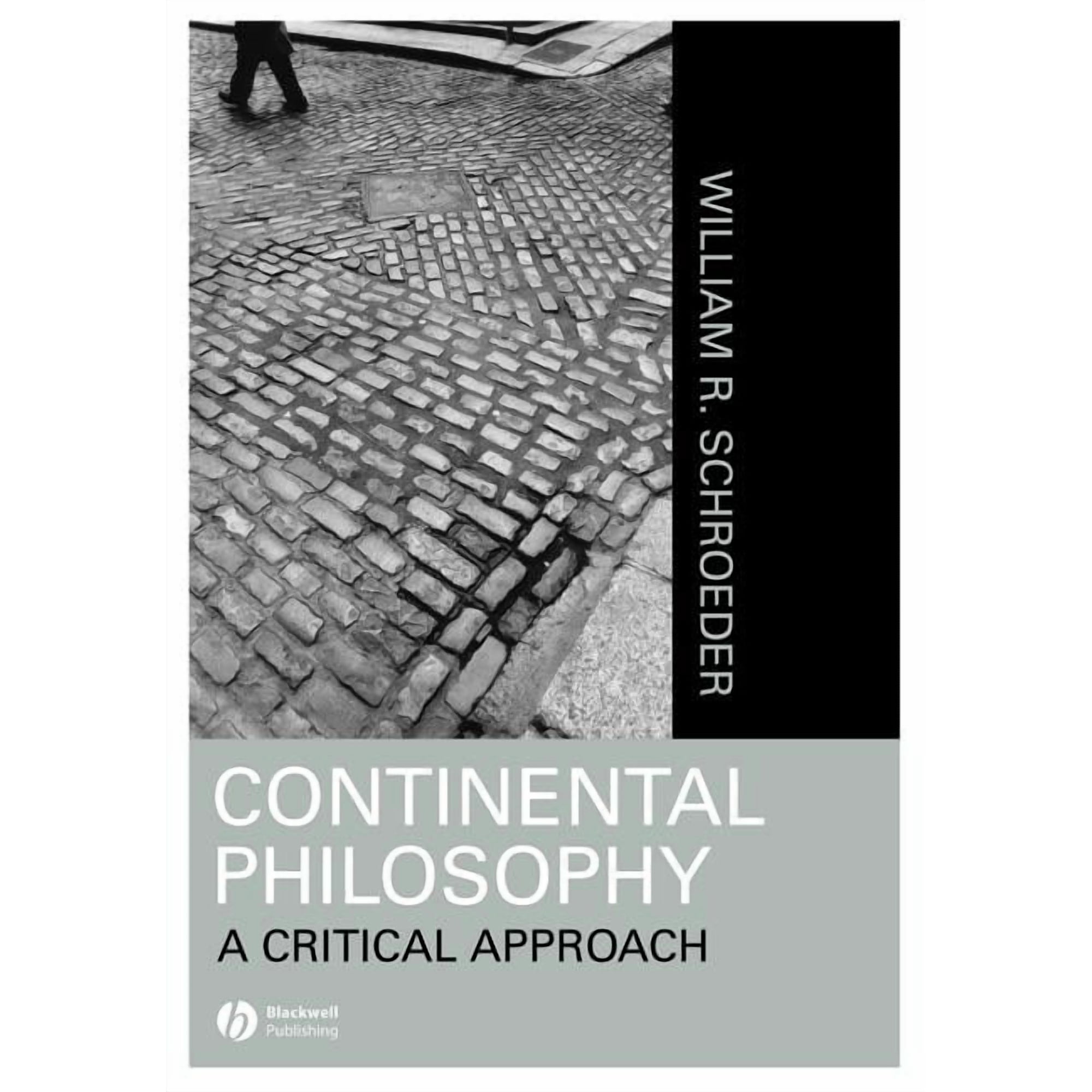 Continental Philosophy: A Critical Approach (Paperback)