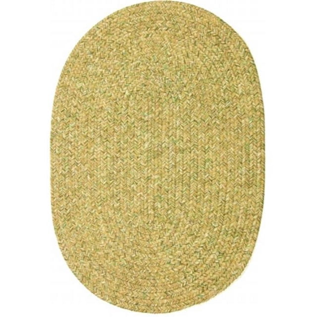 Rhody Rug Tapis Ovale Tressé Sandi Intérieur-Extérieur, Avoine, 2 x 4 Pieds, Réversible, Résistant aux Taches