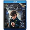 Fantastic Beasts and Where to Find Them (Blu-ray + DVD), Warner Home Video, Kids & Family