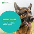 thumbnail image 5 of American BioSciences NK-9 AHCC Supplement for Dogs & Cats - Dietary Supplement to Support Immune System - Made for Pet's Immune Defenses - 30 Capsules, 250mg/capsule, 5 of 6