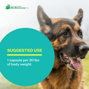 American BioSciences NK-9 AHCC Supplement for Dogs & Cats - Dietary Supplement to Support Immune System - Made for Pets Immune Defenses - 30 Capsules, 250mg/capsule