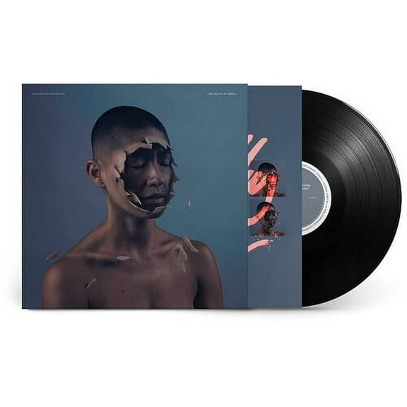 Manchester Orchestra - The Valley Of Vision - Music & Performance - Vinyl