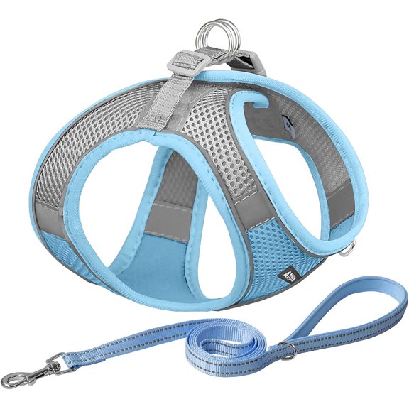 No Pull Dog Harness and Leash Set, Step in Adjustable Dog Harness with Padded Vest for All Weather, Dog Leash with Soft Padded Handle, Easy to Put on Small and Medium Dogs