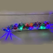 Autism Calming Sensory LED Light Train Toy with Music Special Needs Kids Gift