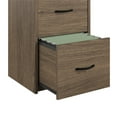 Ameriwood Home Canal 2 Drawer File Rustic Oak