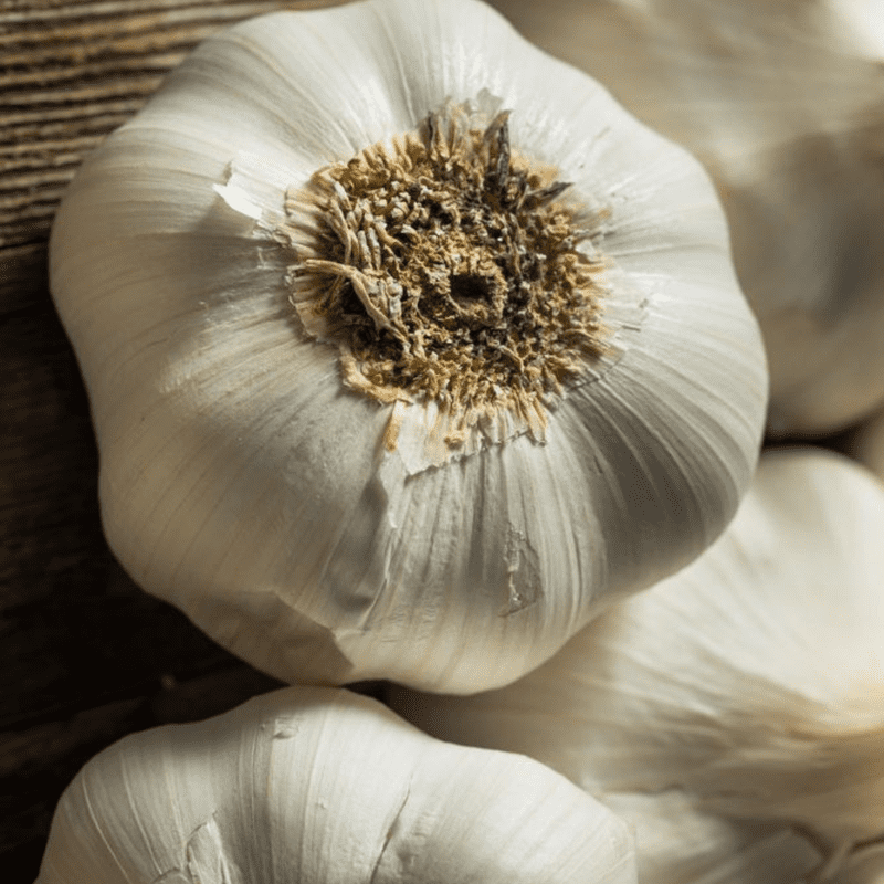 California White Softneck Garlic Bulbs, 0.5 Pound, Garden-Ready Cloves for Planting Indoors or Outdoors