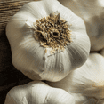 thumbnail image 3 of California White Softneck Garlic Bulbs, 0.5 Pound, Garden-Ready Cloves for Planting Indoors or Outdoors, 3 of 5