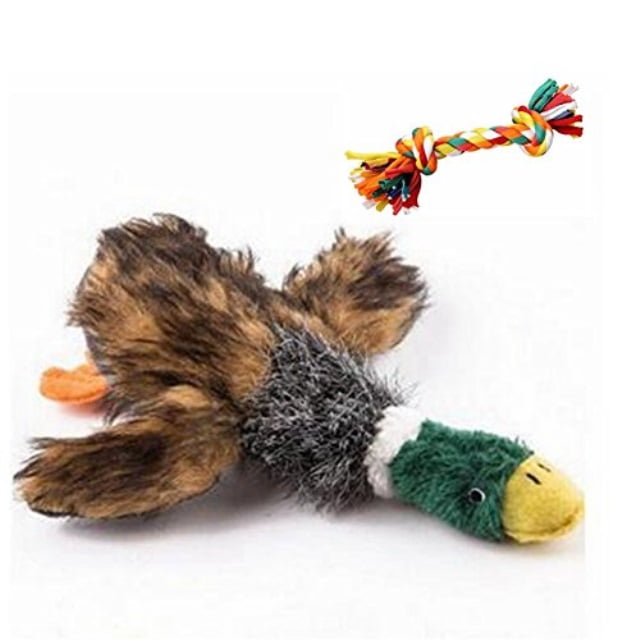 duck dog toy walmart