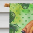 thumbnail image 3 of Carolines Treasures BB9826CHF Dachshund St Patricks Flag Canvas House Size  Large multicolor, 3 of 4