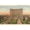 Unframed, variant on Art.com Michigan Central Station, Detroit, Michigan Art Print, 18" x 12"