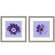 PTM Images Blinds H Framed Wall Art