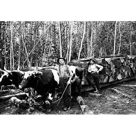 Darius Kinsey was a photographer active in western Washington State from 1890 to 1940 He is best known for his images of loggers and all phases of the regions lumber industry Poster Print by Darius