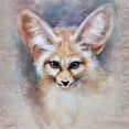 thumbnail image 3 of Campbell, Robert 12x12 Black Modern Framed Museum Art Print Titled - Fennec Fox Filgree, 3 of 5