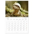 thumbnail image 5 of Dino babies (Monthly Wall Calendar 2026 16.5 x 23.4 (open)), CALVENDO 14 Month Calendar, 5 of 9