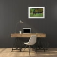 thumbnail image 3 of Galloimages Online 32x23 White Modern Wood Framed Museum Art Print Titled - The Mane Event, 3 of 4
