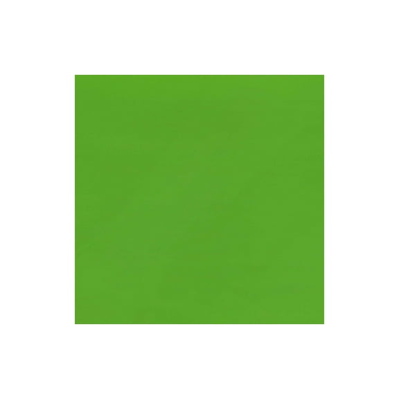 Vinyl 12x12 Sheet Perm Adh Gloss 12pc LimeGreenUPC