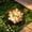 Orange768, variant on Tuvgenk Color Changing Landscape & Walkway Lights Solar Adjustable Head Lamp Dusk Till Dawn Iron Flower for Bathroom, Pool