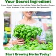 thumbnail image 6 of Epic Gardening Organic Herb Garden Seed Bundle, 5 Non-GMO Varieties for Cooking & Seasoning, Includes Basil, Cilantro, Dill, Chives & Parsley, Non-GMO Seeds, 6 of 6