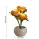 thumbnail image 3 of Flower Pot Light Mini Night Light Atmospheres Desk Lamp Bedroom Bedlight Home Decoration Desktop Gift Decorative Flower Ornament, 3 of 6