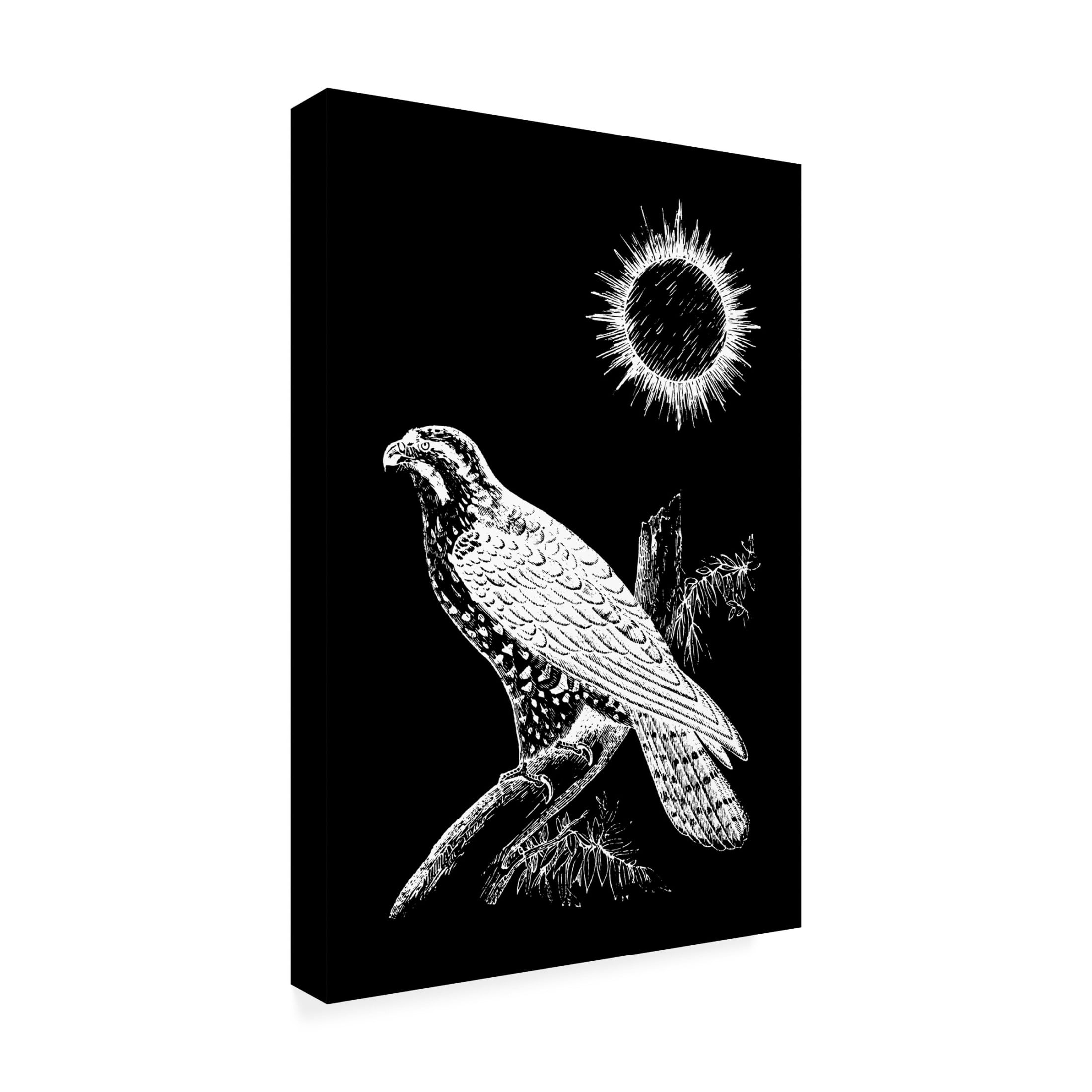 Trademark Fine Art Hussein Abdel Aal Falcon Peregrine Canvas Wall Art