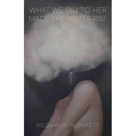 What We Did to Her Made the Water Rise, (Paperback)