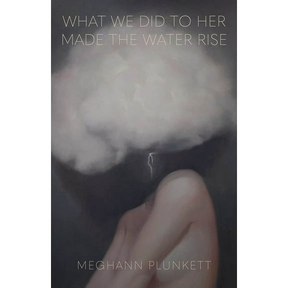 What We Did to Her Made the Water Rise, (Paperback)