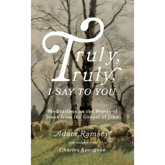 Truly, Truly, I Say to You: Meditations on the Words of Jesus from the Gospel of John, (Paperback)