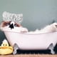 thumbnail image 5 of Gorro de baño impermeable con protección para los oídos para ducha de mascotas, suministros para mascotas perros y gatos, 5 of 7