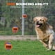 thumbnail image 4 of Pelotas de tenis AMA SPORT Squeaky para perros 2.0 para perros pequeños, paquete de 12, 4 of 6