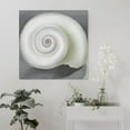 thumbnail image 5 of American Artist Georgia O'Keeffe Shell Poster Canvas Art Poster and Wall Art Picture Print Modern Family bedroom Decor Posters 20x20inch(50x50cm), 5 of 5