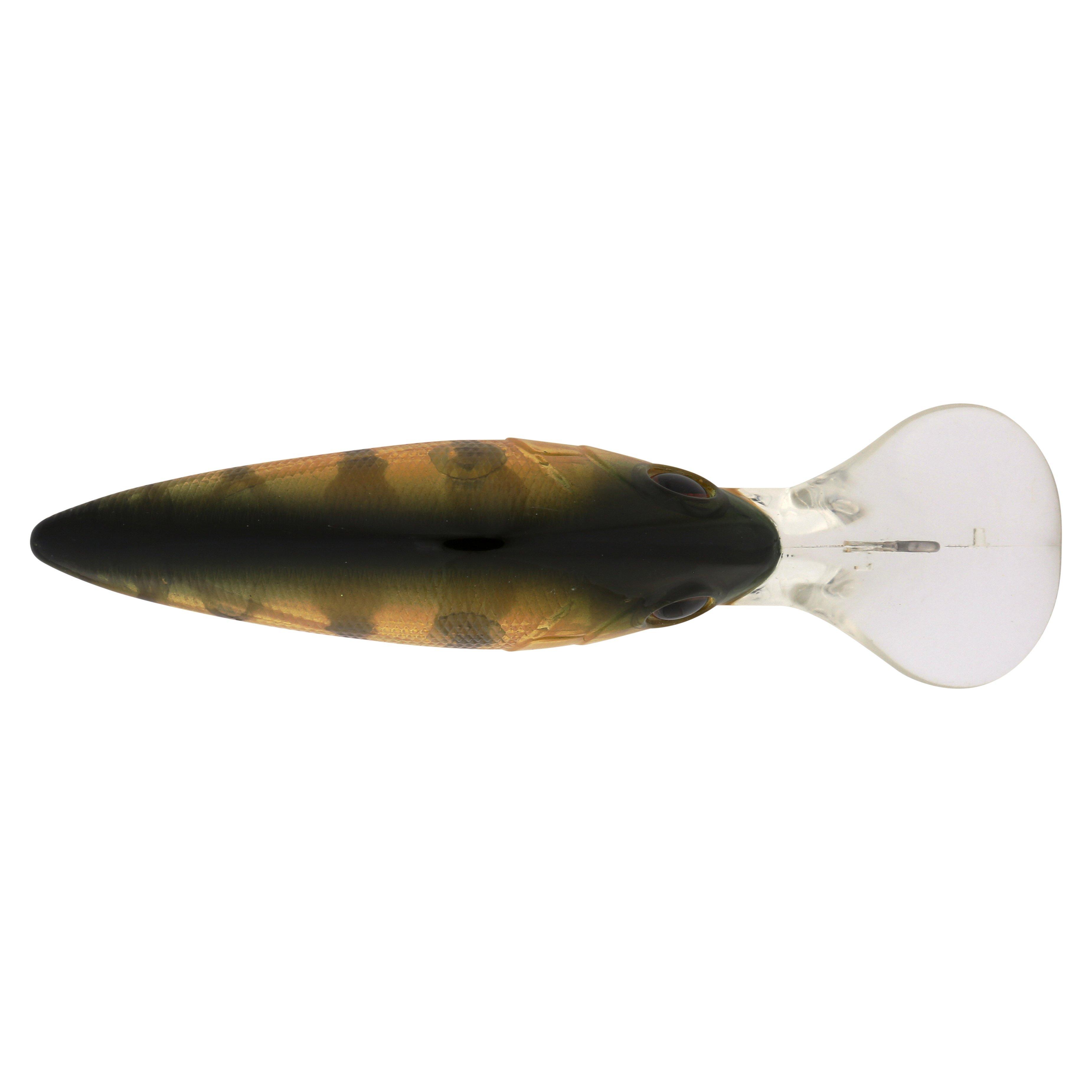 Berkley Money Badger, 6.25, Perch