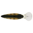 thumbnail image 4 of Berkley Money Badger, 6.25, Perch, 4 of 11