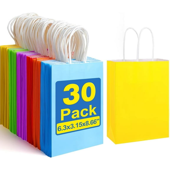 30 Pcs Gift Bags with Handles, 6 Colors Party Favor Bags, Rainbow Gift Bags for Wedding, Birthday, Party Supplies and Gifts